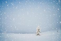 Frosty Morning in the Mountains, Panorama of Winter Mountains, Ukraine, Carpathians-Kotenko-Photographic Print