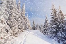Winter Landscape-Kotenko-Photographic Print