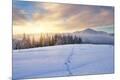 Photographic Print