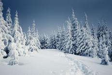 Winter Landscape-Kotenko-Framed Photographic Print