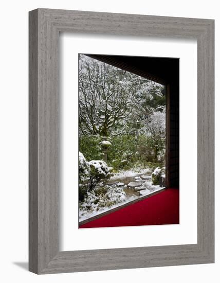 Koto-in Temple garden in snow, Kyoto, Japan, Asia-Damien Douxchamps-Framed Photographic Print