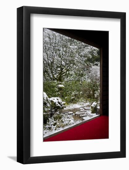 Koto-in Temple garden in snow, Kyoto, Japan, Asia-Damien Douxchamps-Framed Photographic Print