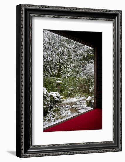 Koto-in Temple garden in snow, Kyoto, Japan, Asia-Damien Douxchamps-Framed Photographic Print