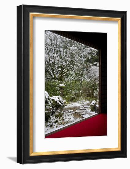 Koto-in Temple garden in snow, Kyoto, Japan, Asia-Damien Douxchamps-Framed Photographic Print