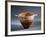 Kotyle, Protocorinthian Style Pottery, Greece-null-Framed Giclee Print