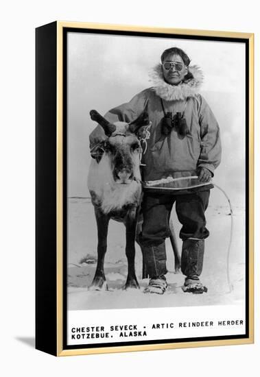 Kotzebue, Alaska - Chester Seveck, Arctic Reindeer Herder-Lantern Press-Framed Stretched Canvas