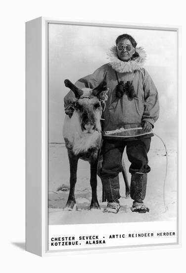 Kotzebue, Alaska - Chester Seveck, Arctic Reindeer Herder-Lantern Press-Framed Stretched Canvas
