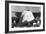 Kotzebue, Alaska - Snow Igloo-Lantern Press-Framed Art Print