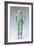 Kouros in Bronze, from Villa Cassarini, Bologna. Etruscan Civilization, Ca 500 BC.-null-Framed Giclee Print