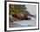 Kovalam Beach, Trivandrum, Kerala, India, Asia-null-Framed Photographic Print