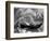 Kovalum, Kerala, India, Boat in Village-Elisa Cicinelli-Framed Photographic Print