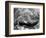 Kovalum, Kerala, India, Boat in Village-Elisa Cicinelli-Framed Photographic Print