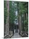 Premium Photographic Print