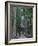 Koyasan-null-Framed Photographic Print