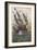 Kraken Attacks a Sailing Vessel-Denys De Montfort-Framed Photographic Print