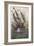 Kraken Attacks a Sailing Vessel-Denys De Montfort-Framed Premium Photographic Print