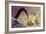 Kraken-Christian Darkin-Framed Photographic Print