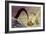 Kraken-Christian Darkin-Framed Photographic Print