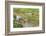 Kratie, Cambodia. Floating Vietnamese houseboat on the Mekong River in Kratie, Cambodia.-Yvette Cardozo-Framed Photographic Print