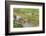 Kratie, Cambodia. Floating Vietnamese houseboat on the Mekong River in Kratie, Cambodia.-Yvette Cardozo-Framed Photographic Print