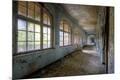 Premium Photographic Print