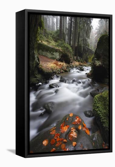 Krinice River Flowing Past Large Rocks in Forest, Kyov, Ceske Svycarsko, Czech Republic, November-Ruiz-Framed Premier Image Canvas