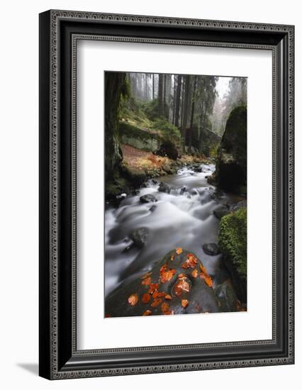 Krinice River Flowing Past Large Rocks in Forest, Kyov, Ceske Svycarsko, Czech Republic, November-Ruiz-Framed Photographic Print