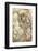 Krishna, T19, Royal Bengal Tiger (Tigris Tigris), Ranthambhore, Rajasthan, India-Janette Hill-Framed Photographic Print