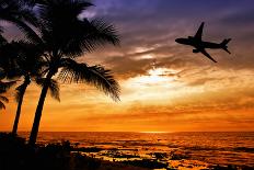 Sunset with Palm Tree and Airplane Silhouettes-krisrobin-Framed Premier Image Canvas