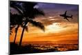 Photographic Print