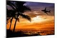 Photographic Print
