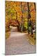 Premium Photographic Print