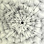 Abstract Dandelion Illustration Spring Concept-Kristaps Eberlins-Stretched Canvas