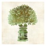 Broccoli-Kristin Emery-Art Print