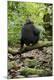 Premium Photographic Print