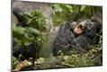 Premium Photographic Print