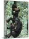 Premium Photographic Print