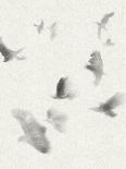 Birds in Flight - Glide-Kristine Hegre-Giclee Print