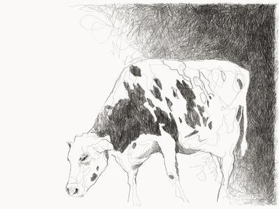 'Bluebell' Giclee Print - Kristine Hegre | Art.com