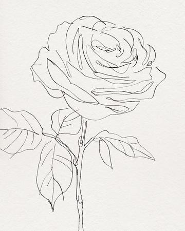 'Bountiful Blooms - Delightful' Giclee Print - Kristine Hegre | Art.com