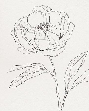 'Bountiful Blooms - Exquisite' Giclee Print - Kristine Hegre | Art.com