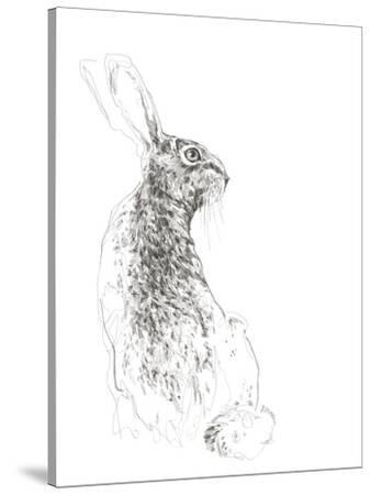 'Hartley Hare' Stretched Canvas Print - Kristine Hegre | Art.com