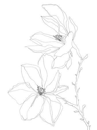 Linear Bloom - Grow Giclee Print - Kristine Hegre | Art.com