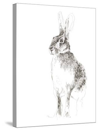 'March Hare' Stretched Canvas Print - Kristine Hegre | Art.com