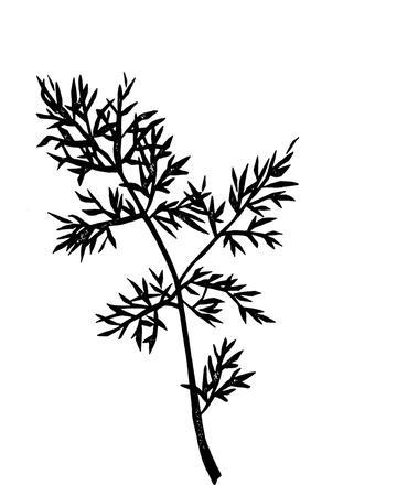 'Oya' Giclee Print - Kristine Hegre | Art.com