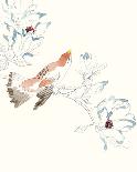 Paradise Bird - Song-Kristine Hegre-Giclee Print