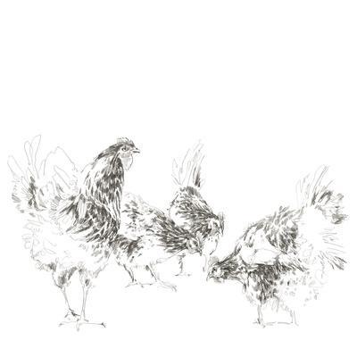 'Pecking Order' Giclee Print - Kristine Hegre | Art.com