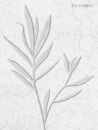 'Pressed Plaques - Tarrgon' Giclee Print - Kristine Hegre | Art.com