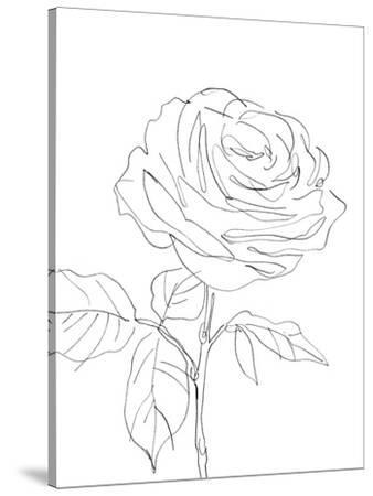 'Sketched Floral - Allure' Stretched Canvas Print - Kristine Hegre