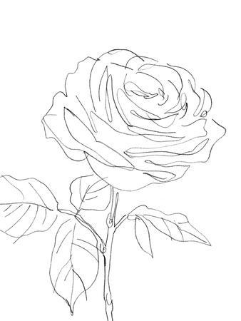 'Sketched Floral - Allure' Giclee Print - Kristine Hegre | Art.com